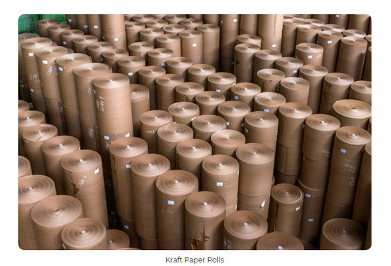Fourdrinier ανακύκλωσης χαρτονιού αποβλήτων γραμμών παραγωγής μηχανών εγγράφου της Kraft ραβδώσεων